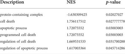 Comprehensive analysis of key m5C modification-related genes in type 2 diabetes